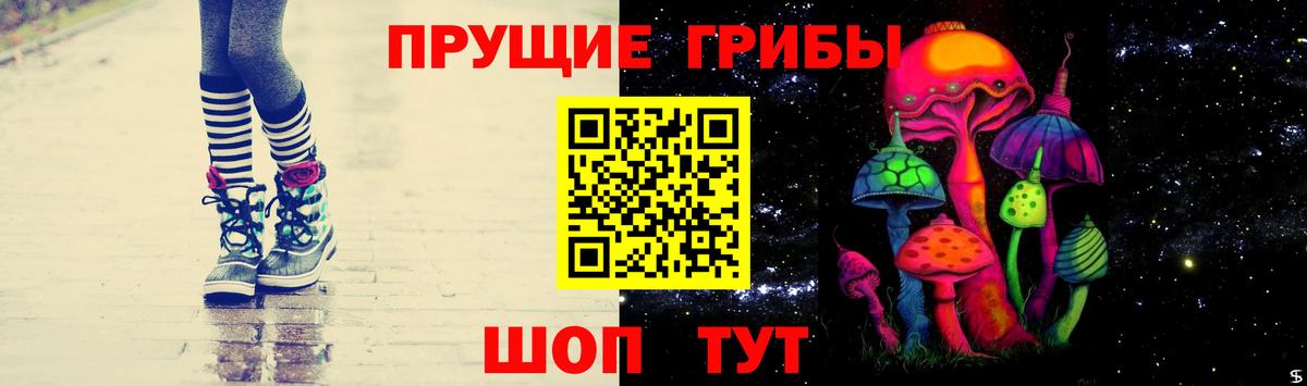 Псилоцибиновые грибы GOLDEN TEACHER  Вход с VPN  Звенигород 